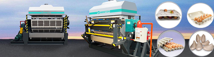 BTF4-8-Egg-Tray-Machine-Was-Exported-To-Russia