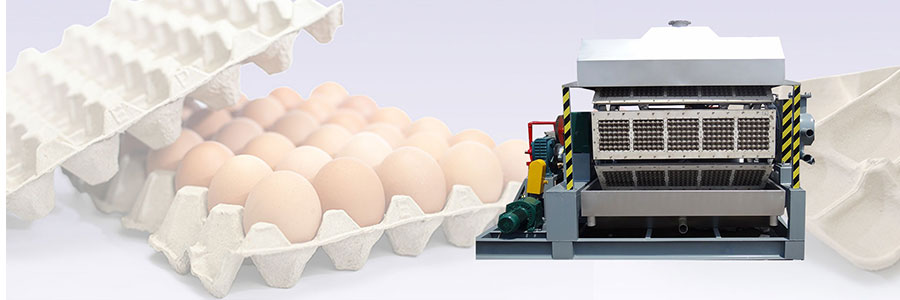 BTF4-4-Egg-Tray-Machine-in-Bolivia